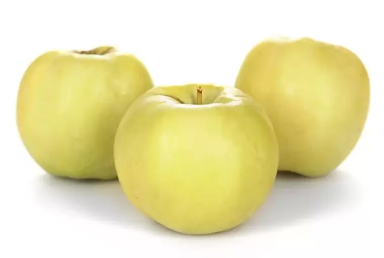 varis tedavisi için elma